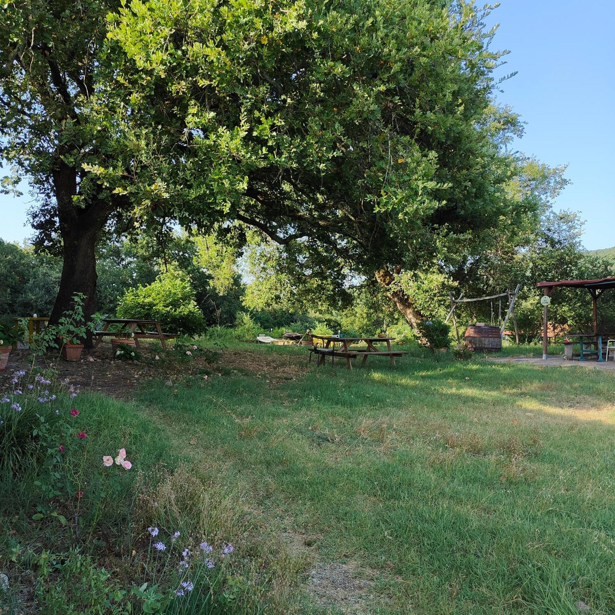 Agriturismo Il Casalino Pari Ngoại thất bức ảnh