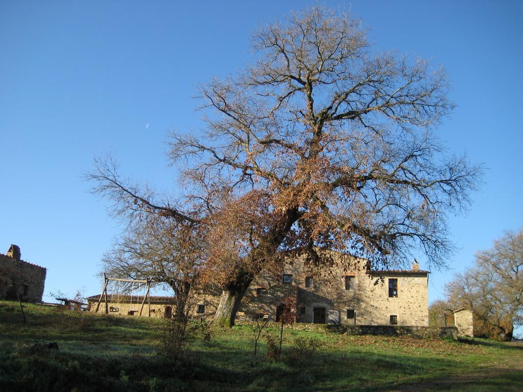 Agriturismo Il Casalino Pari Ngoại thất bức ảnh