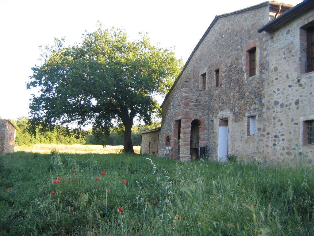 Agriturismo Il Casalino Pari Ngoại thất bức ảnh