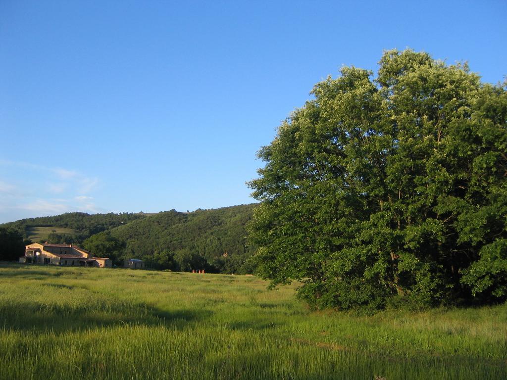 Agriturismo Il Casalino Pari Ngoại thất bức ảnh
