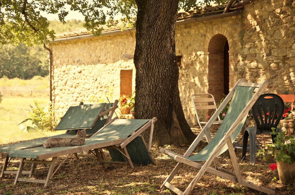 Agriturismo Il Casalino Pari Ngoại thất bức ảnh